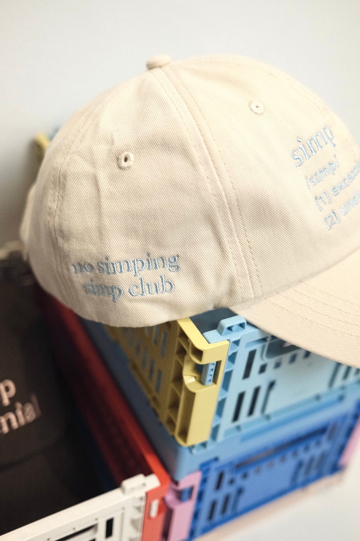 “Definition” embroidery cap (pre-order)