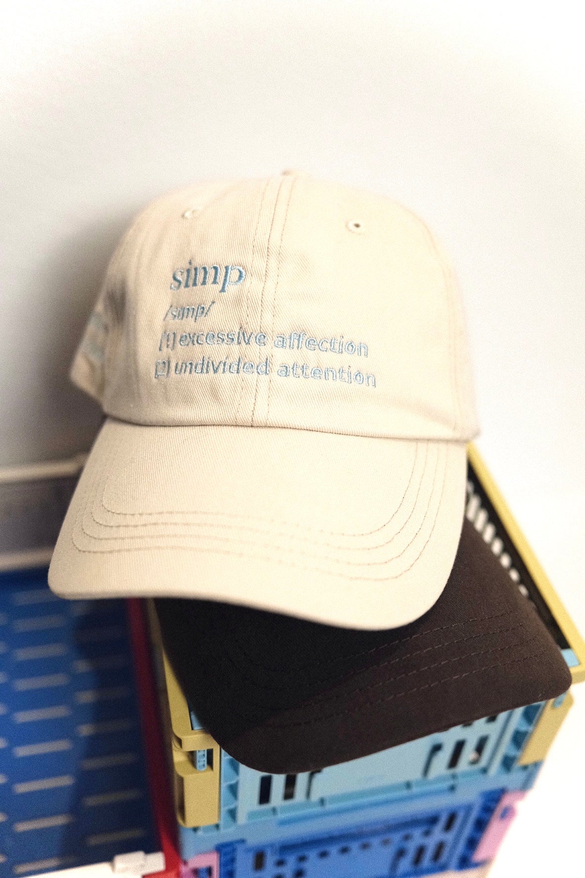 “Definition” embroidery cap (pre-order)